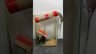 The Best And Most Unique Homemade Mouse Trap Idea #Rat #Rattrap #Mousetrap #Shorts