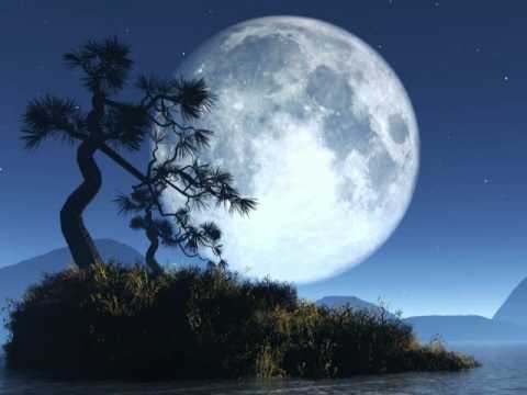 Chand Mera Dil ChANdni Ho TuM .........................mp4