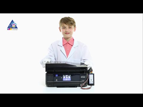 Как заменить памперс на epson xp-800