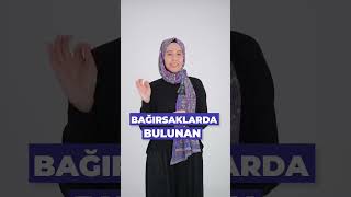 Huzursuz Bacak Sendromu Nedir?