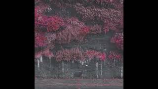 Gethsemane - Sleep Token Cover By Voro