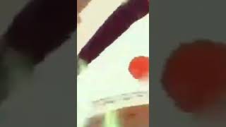 Goku X Habibi