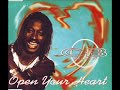 Open Your Heart
