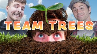 A Look Back At #TeamTrees... Two Years Later