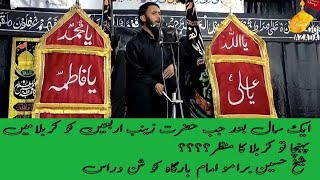 Jab Hazrat Zanib 1Sal Bad Arbain Ko Karbal Main Poncha To Keya Dakha Imam Bargha Goshan