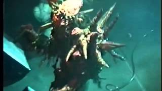 Watch Gwar Slap U Around video