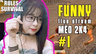 Rules Of Survival Funny Moment Stream Mèo 2K4