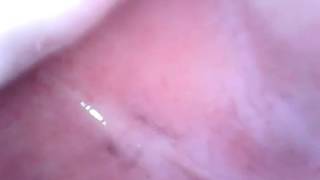Vore Tour Inside My Mouth Uvula, Tongue And Tonsils