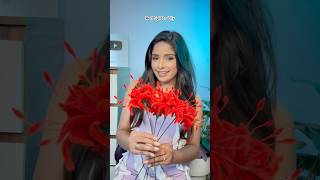 Omg Made Red Spider Lily Flower Out Of Pipe Cleaner