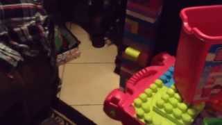 Huge Mega Block Tower I Used My Baby Sisters Mega Blocks
