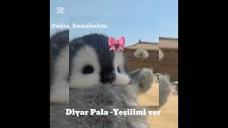 Diyar Pala-Yeşilimi Ver