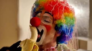 The Clown Diaries