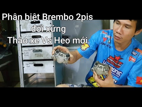 Phân biệt các dòng Heo Brembo 2pis đối xứng : Heo tháo xe Vs Heo mới !