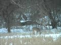 Nailing the Big 10 in Iowa