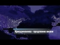 есть на 100%<br />Акустические матрицы