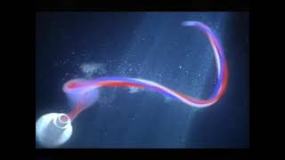 Aquafresh - Aquatasia 2003, Uk
