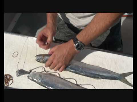 King Mackerel Rig