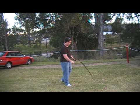 golf swing animation. Whip cracking - Golf swing