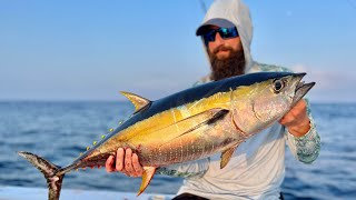 Jigging for cuberas, yellowfin tunas, african pompanos and more...