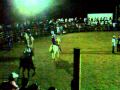 Rodeo and dancing horses in Costa Rica