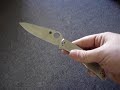 Stainless Steel Spyderco Endura