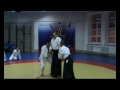 Video Far East Aikido Congress 2013