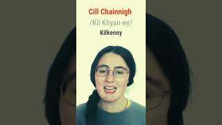 How To Say County Kilkenny In Irish.