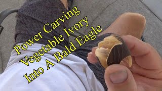 Tagua Nut Eagle