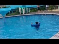 Spiderman Bora Bora dancing in the pool 28.09.2011