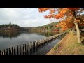 南湖公園と紅葉
