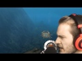 KAWAII SHARKS! (Stranded Deep #2)