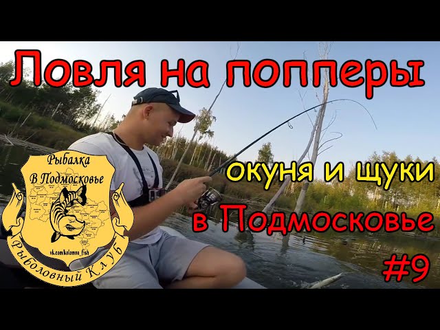 Видео о рыбалке №1660