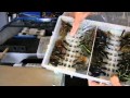 The Bass College Tackle Storage Systems