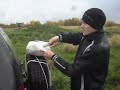 Описание отсутствует. 