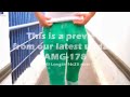 Perfect Ass and Cameltoe Teen in Tight Lycras at the Market