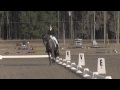 Silva Martin riding Rosa Cha W in her first PSG . Ocala jan 2013