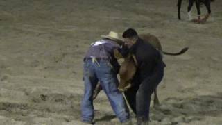 Sometimes The Bull Wins, Monte & Billy Double Mugging, 2016 All American Rodeo