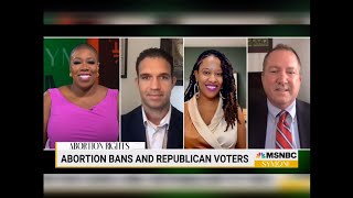 Reecie Colbert On Symone on MSNBC 8/6