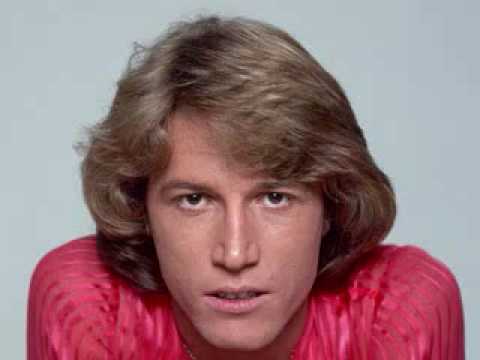   Fashioned Love Song on Andy Gibb   I Just Want To Be Your Everything  Hq With Lyrics