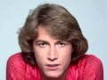 Andy Gibb - I Just Want to Be Your Everything (HQ with lyrics)