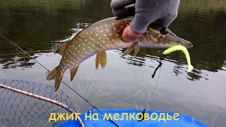щука на мелководье приманки щука на мелководье приманки