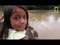 yasuni