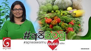 Api Wawamu | Episode 32 18th February 2023