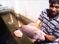 Memanfaatkan Lahan Kecil Di Rumah images Memanfaatkan Lahan Kecil Di Rumah