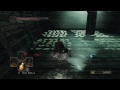 Dark Souls 2: Scholar of the First Sin - THE SCORPION QUEEN GETS ROYALLY F*CKED