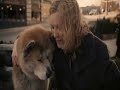 Hachiko Povestea Unui Caine