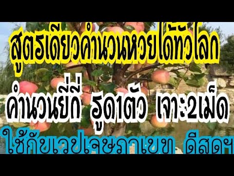 สูตรยี่กี่ รูด1ตัวเวปเจษฎาเบท ใช้คิดได้ทุกหวยทุกหุ้นรอบโลก