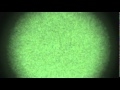 two UFOs flying together September 6, 2010 8:37pm Dallas/Fort Worth, Texas