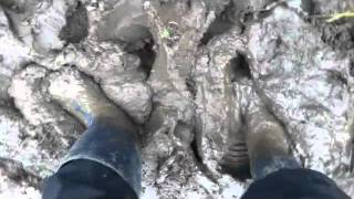 Muddy Wellies And Muddy Gloves.