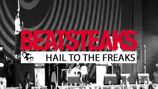 Watch Beatsteaks Hail To The Freaks video